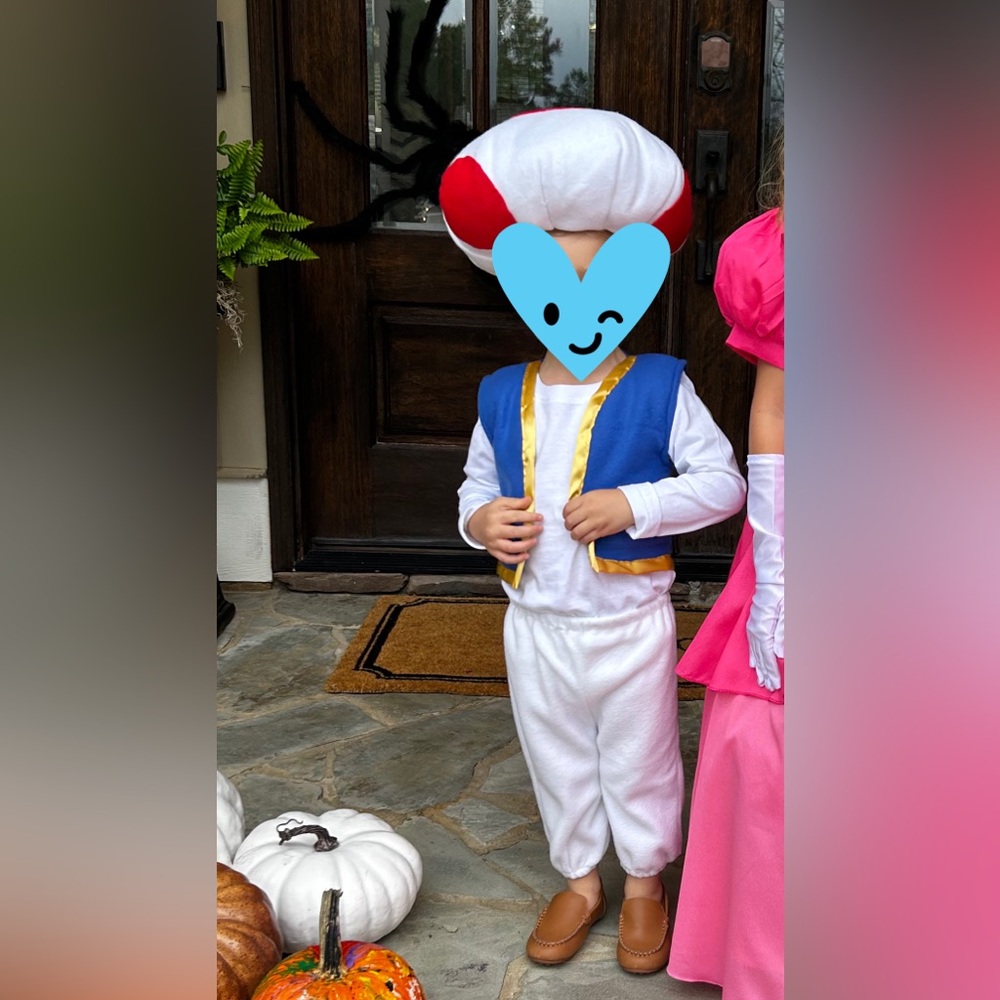 Boys 2T Handmade Toad Costume